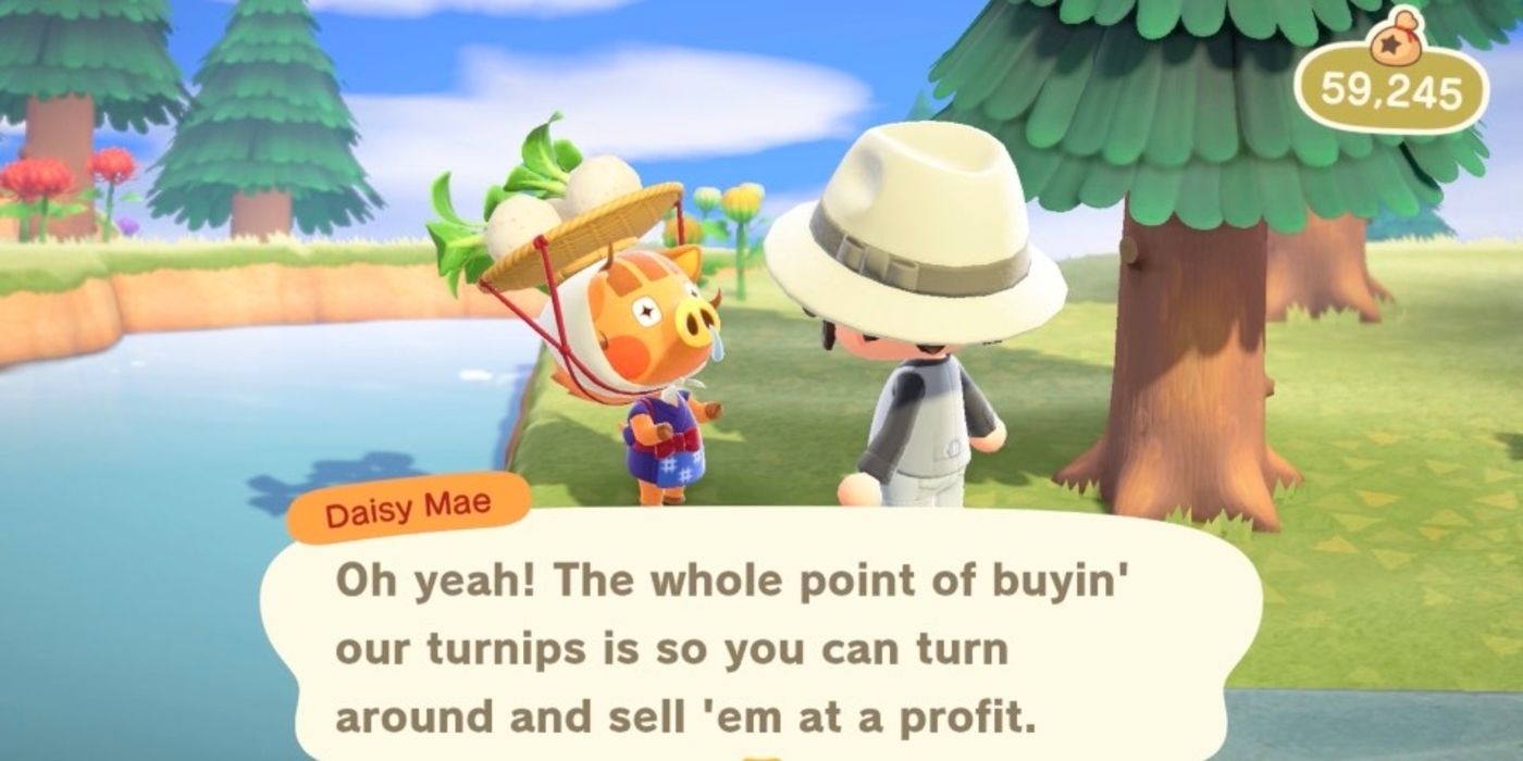 Animal Crossing turnip price calculator, Best turnips price each week