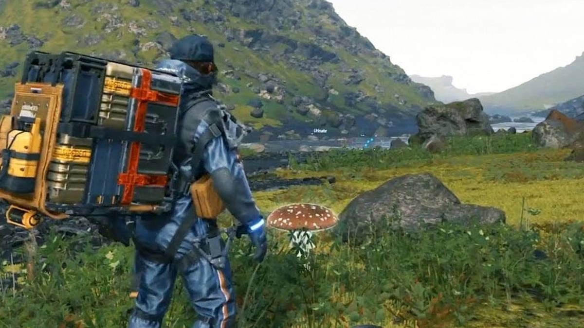 death stranding mushroom river