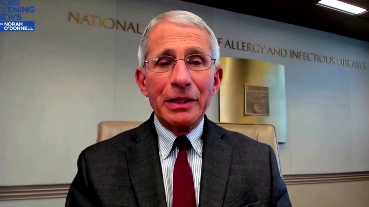 dr fauci coronavirus game