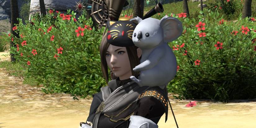 final fantasy xiv koala joey