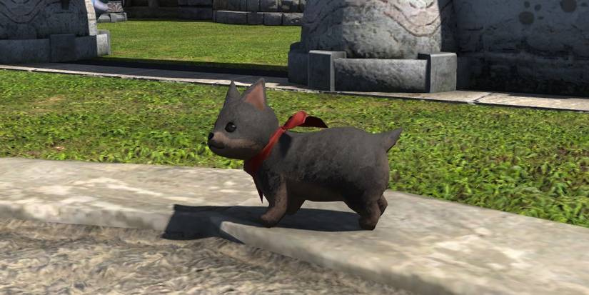 final fantasy xiv wolf pup