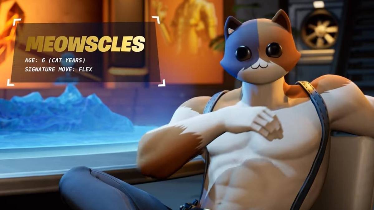 fortnite-meowscles