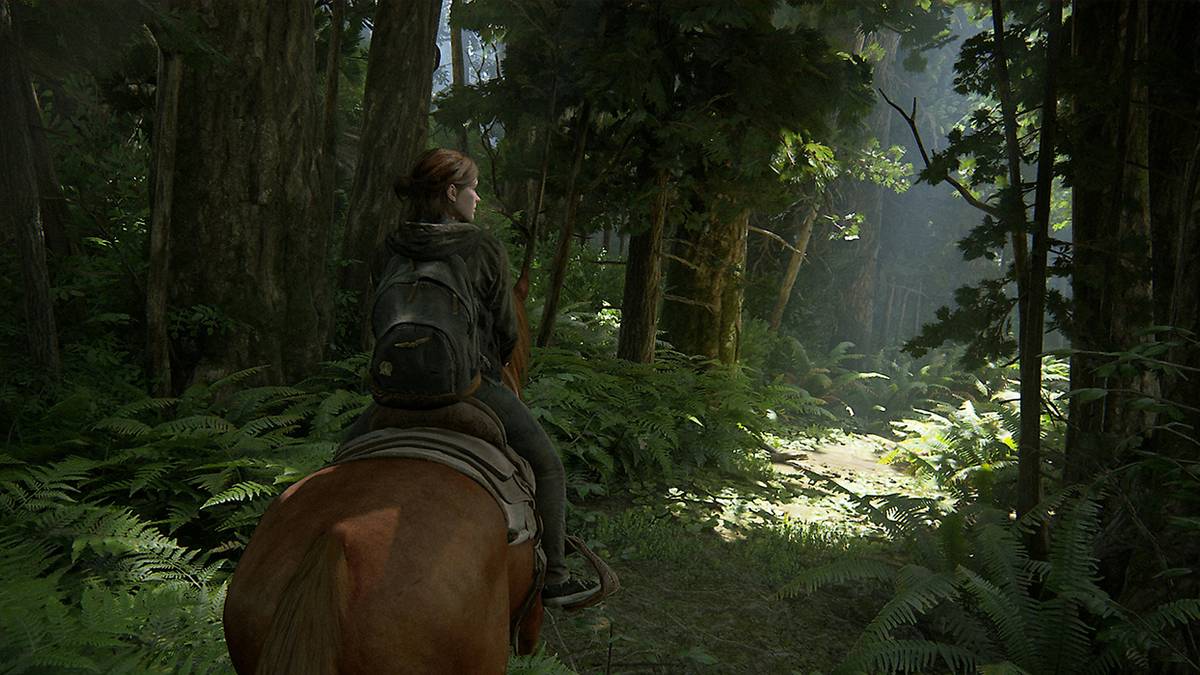 Ellie riding a horse through the woods