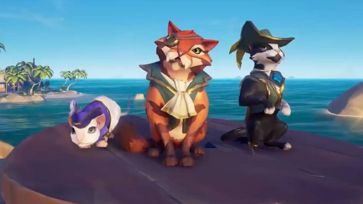 Sea Of Thieves Cats Dressed Up