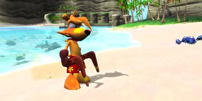 ty the tasmanian tiger - ty on the beach