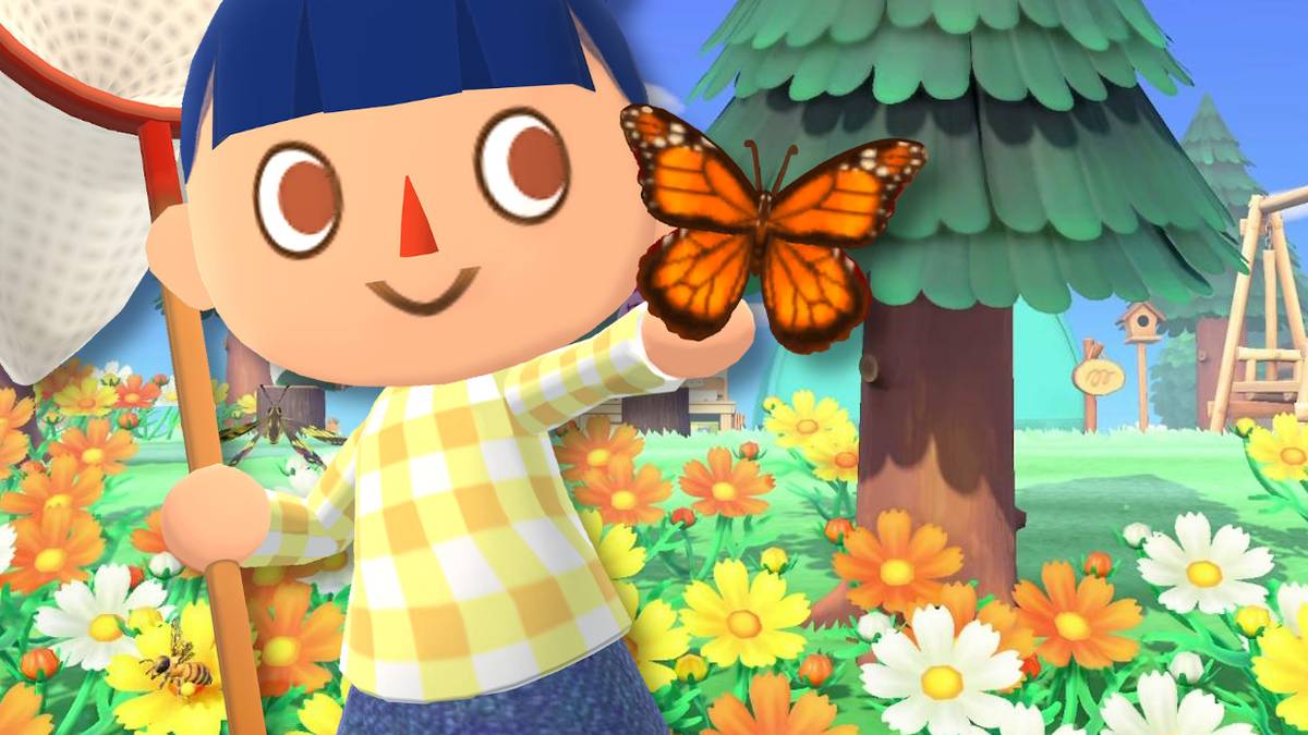 There are several new bugs for June for both hemisperes for ACNH