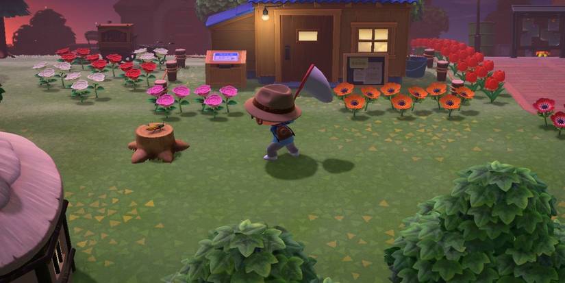 animal crossing new horizons beetle fight club museum