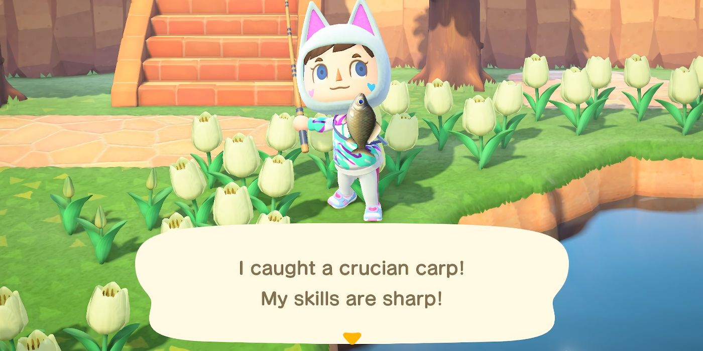 Animal Crossing Catch Carp