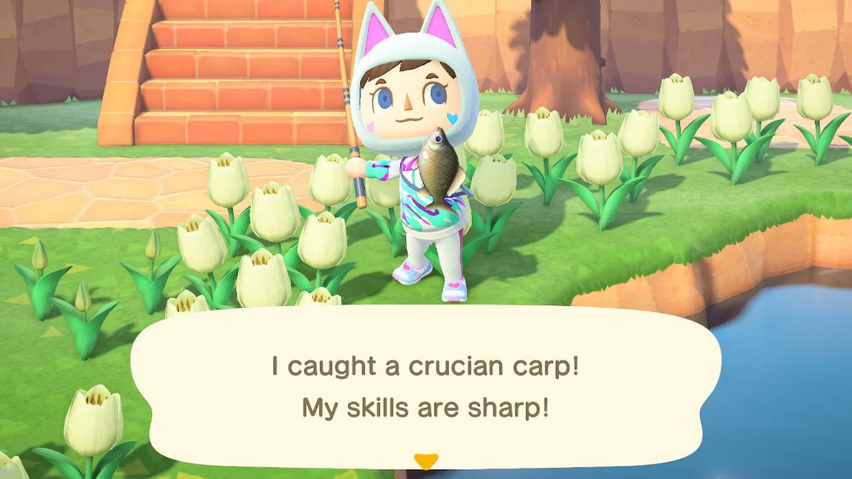 Animal Crossing Catch Carp