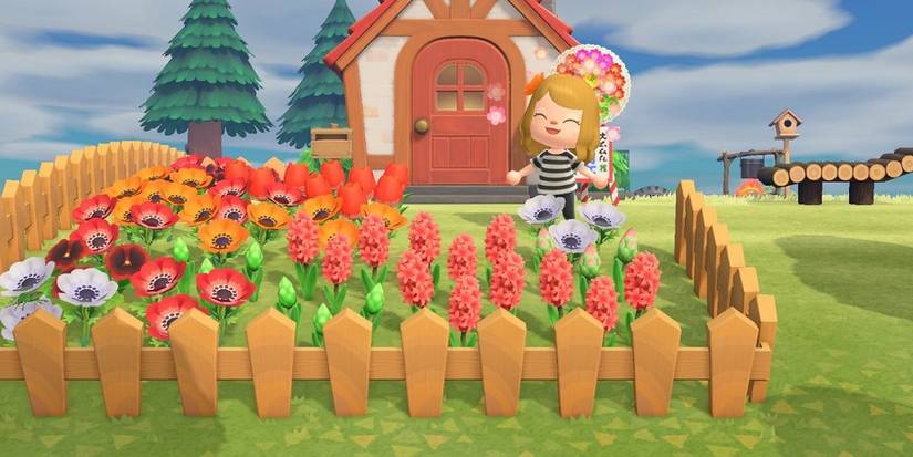 Animal Crossing New Horizons Fencing