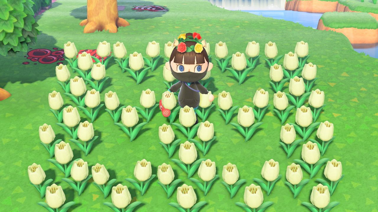 Best Layouts For Growing Hybrid Flowers In Animal Crossing: New Horizons