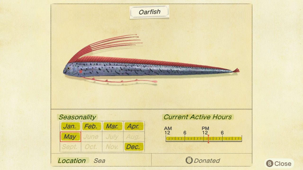 Animal Crossing Oarfish Critterpedia