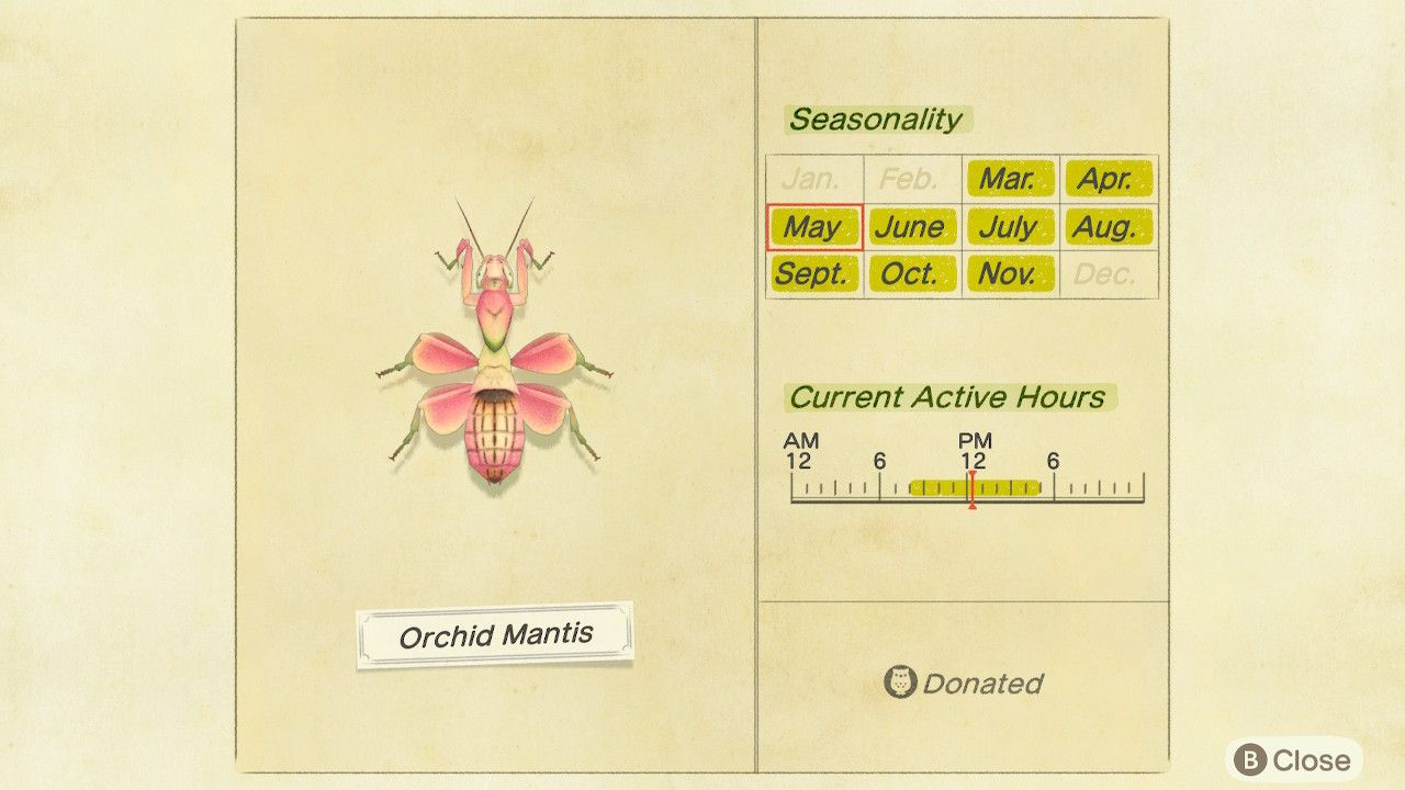 Animal Crossing Orchid Mantis