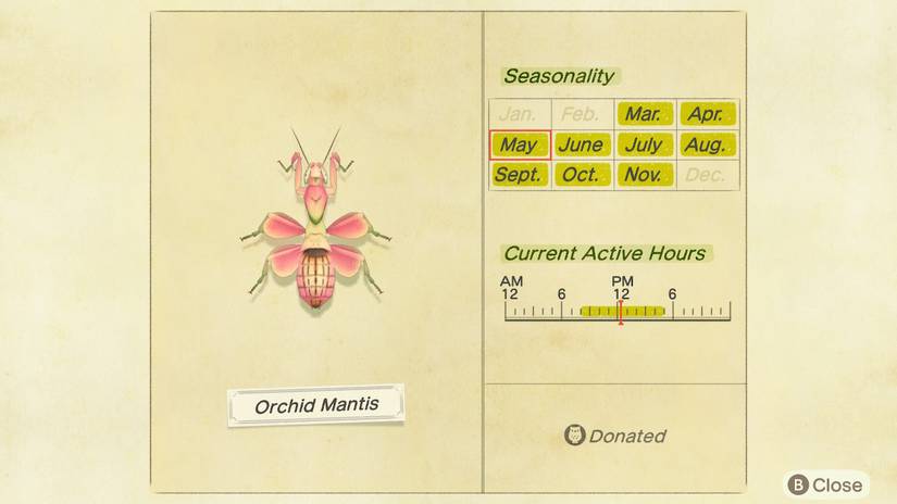 Animal Crossing Orchid Mantis