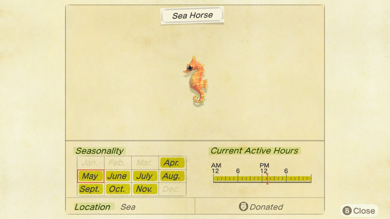 Animal Crossing New Horizons Sea Horse