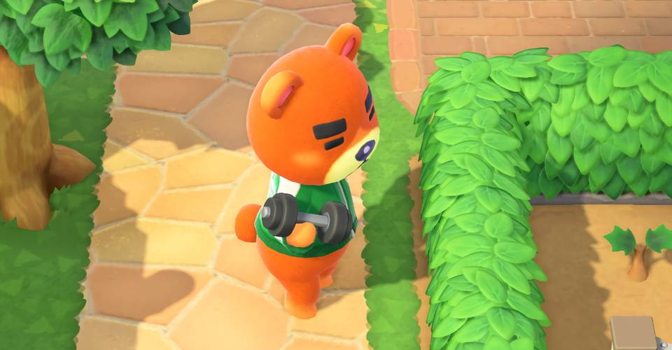 The Best Jocks In Animal Crossing New Horizons Game Rant