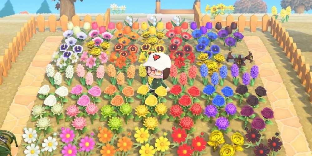 Animal Crossing New Horizons flower patch