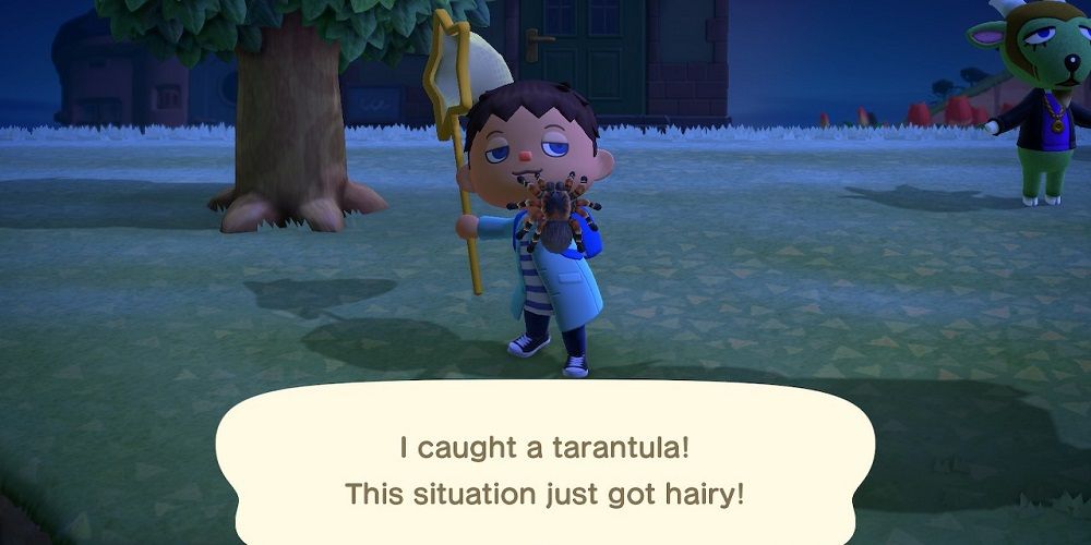 Animal Crossing catching a tarantula