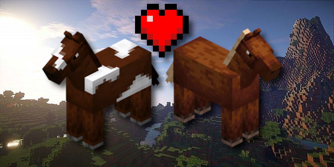 How To Breed Horse In Minecraft