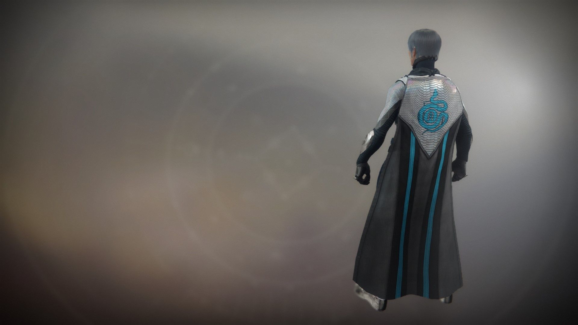 https://destinytracker.com/destiny-2/db/items/1364005110-hunter-cloak