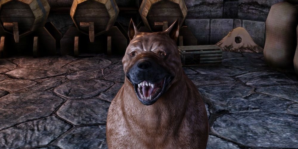 Dragon Age Origins Dog Slot Mod Mabari