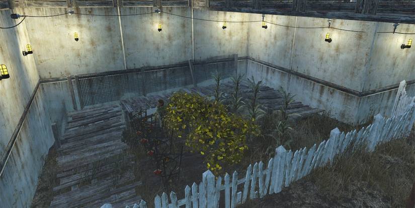 Farm in Fallout 4 