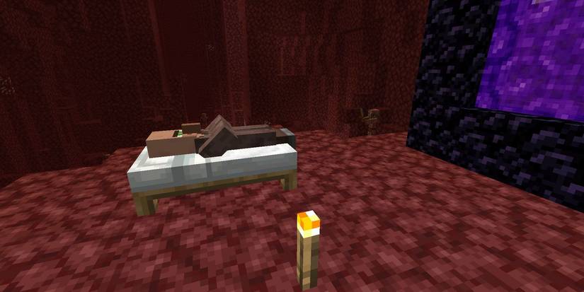 villagers sleeping in the nether.