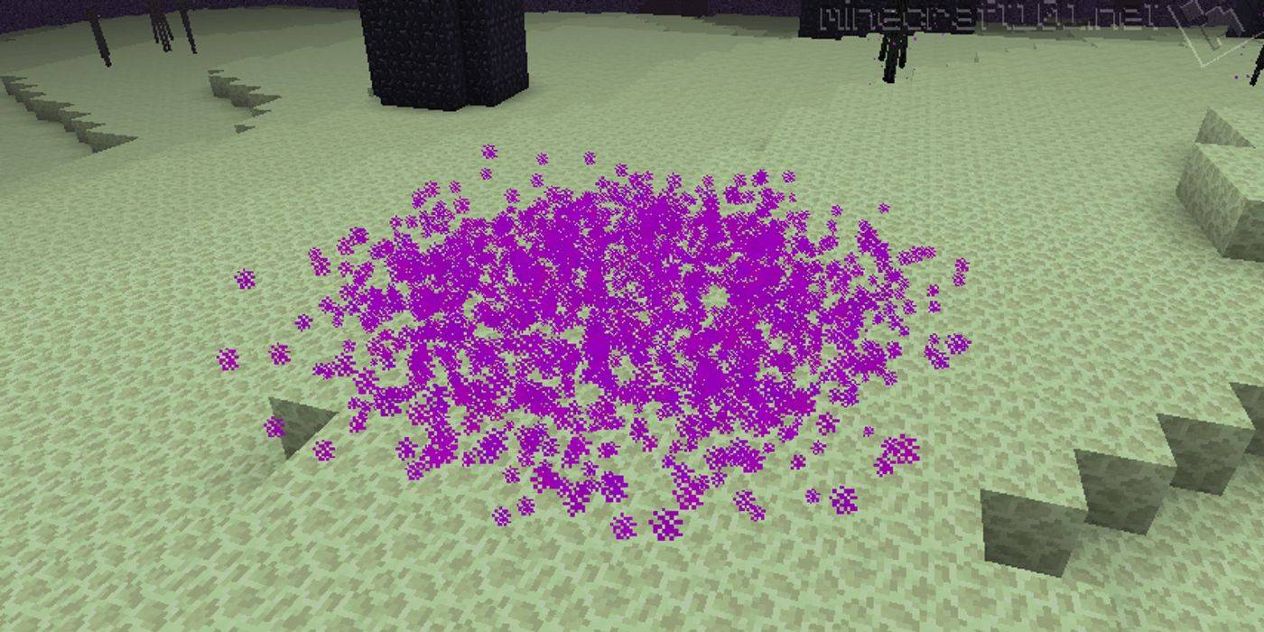 Minecraft 10 Things You Didn T Know About The Ender Dragon Minecraft 10 Things You Didn T Know About The Ender Dragon