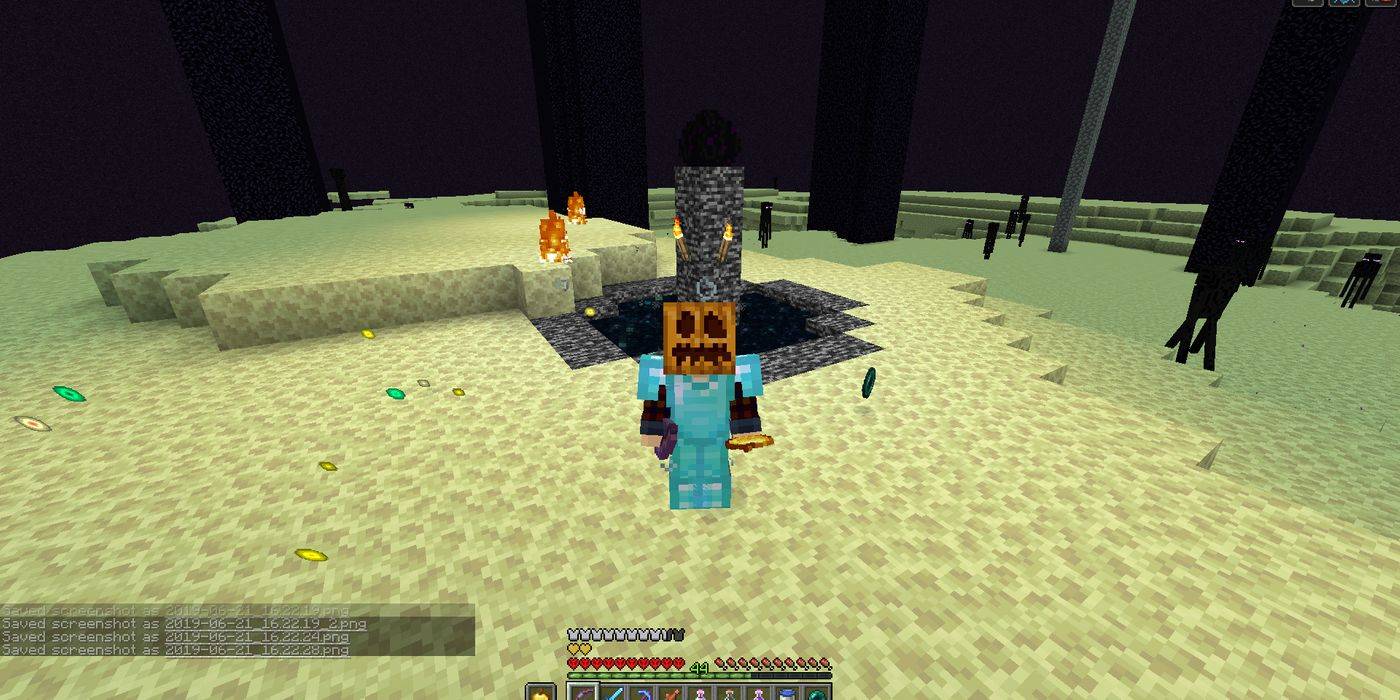 Minecraft 10 Things You Didn T Know About The Ender Dragon