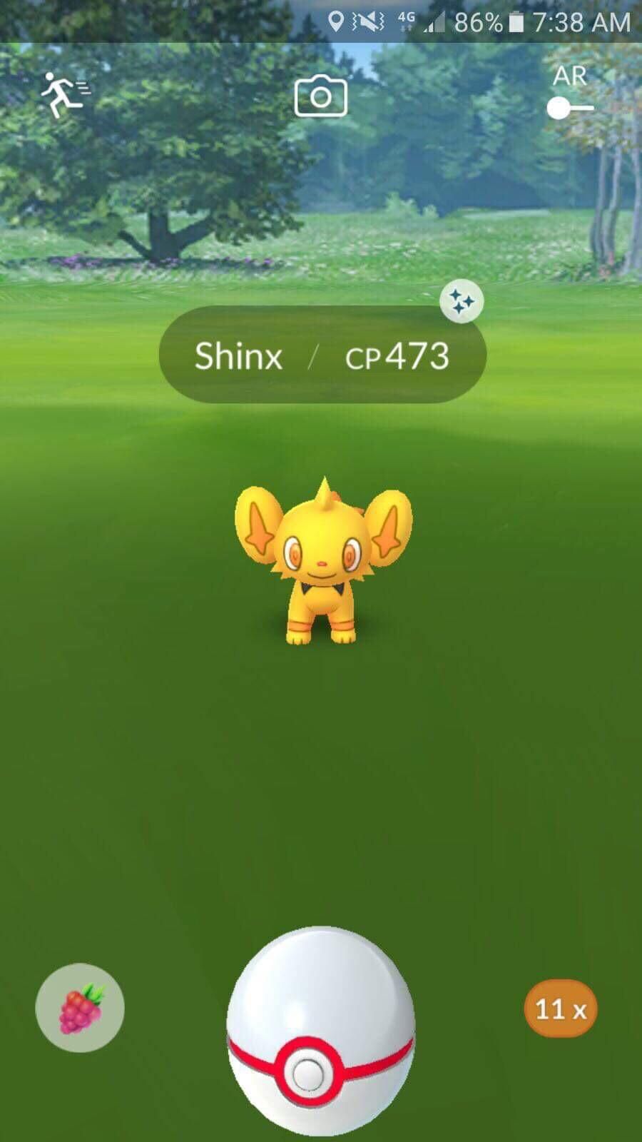 Pokemon Go Shiny Shinx