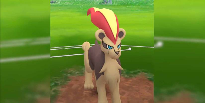 A female Pyroar about to fight in Pokemon GO