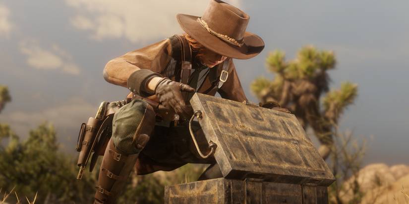 Red-Dead-Online-Collector-Looking-In-A-Box