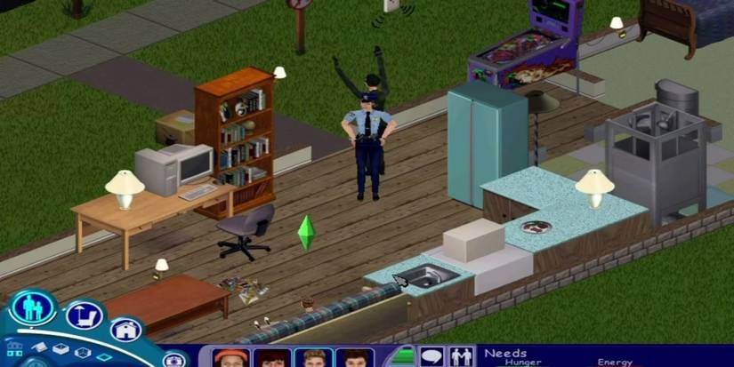 Sims Burglar Cropped