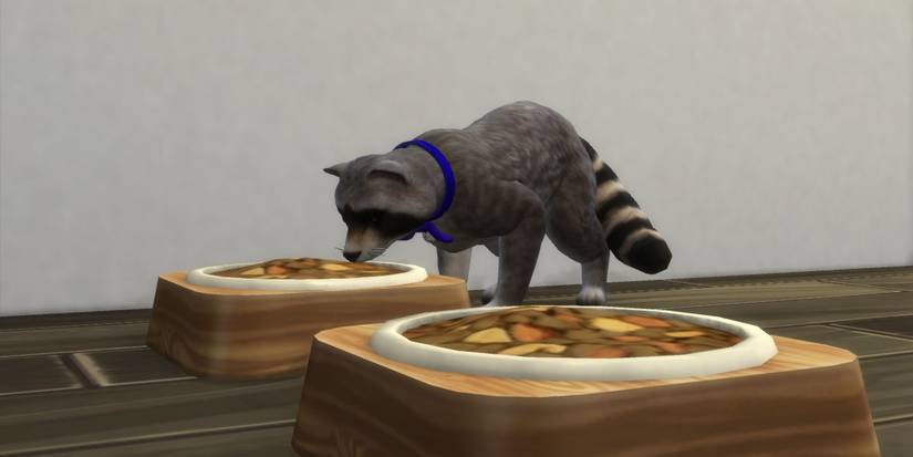 Sims Raccoon Cropped