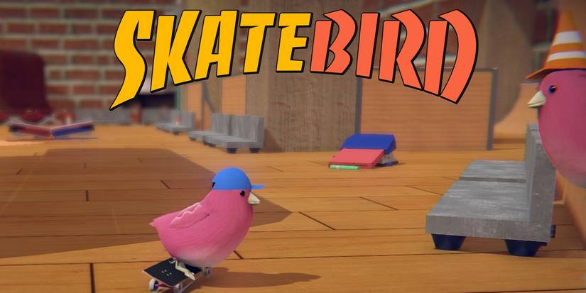 SkateBIRD delay