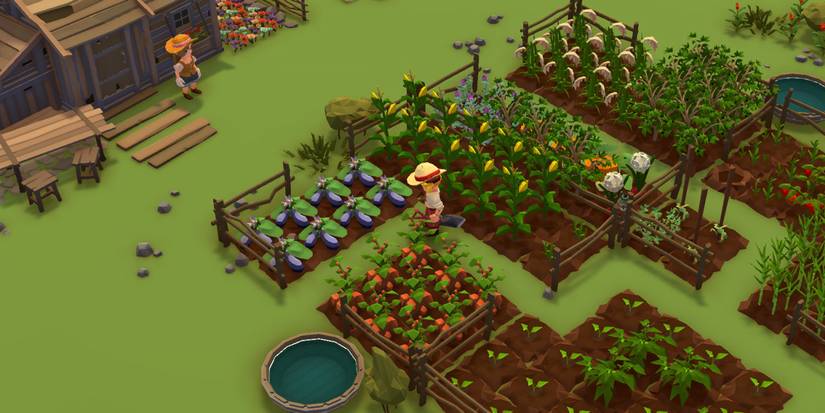 Stranded Sails Explorers of the Cursed Islands Farming