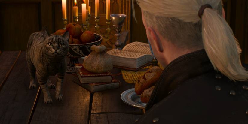 The Witcher 3 Geralt and a Cat Cropped