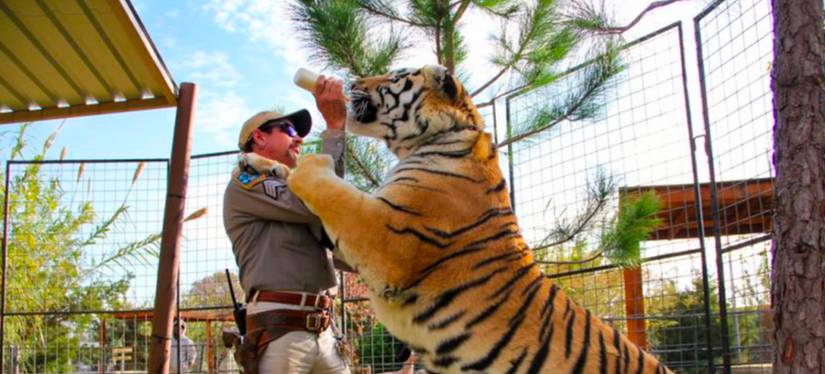 Tiger King Army of the Dead