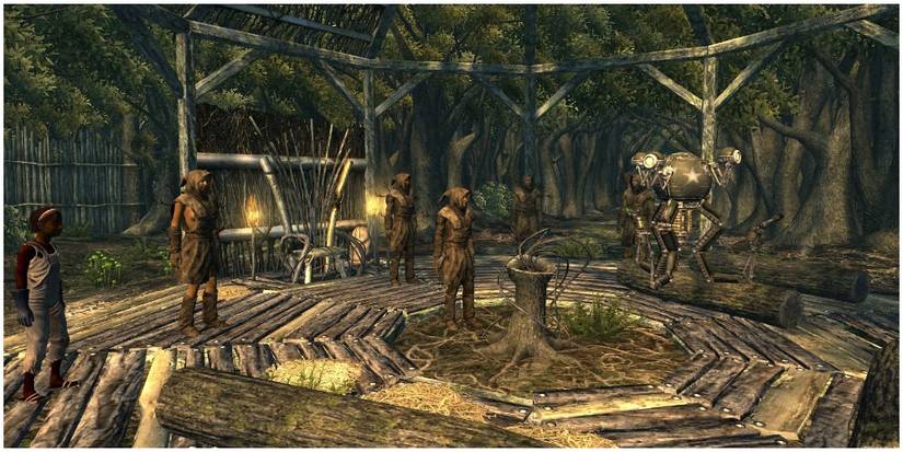 Treeminders inside of Oasis