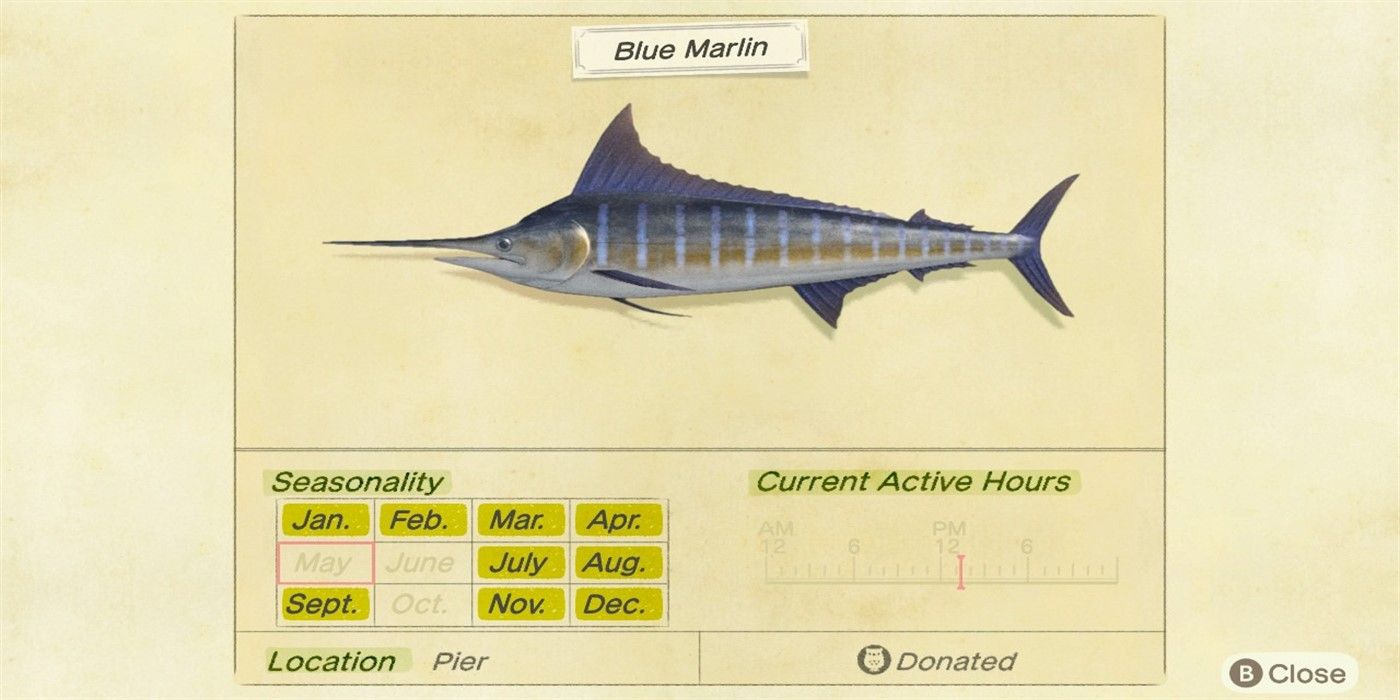 animal crossing new horizons how to catch blue marlin