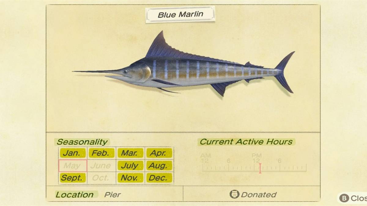 animal crossing new horizons how to catch blue marlin