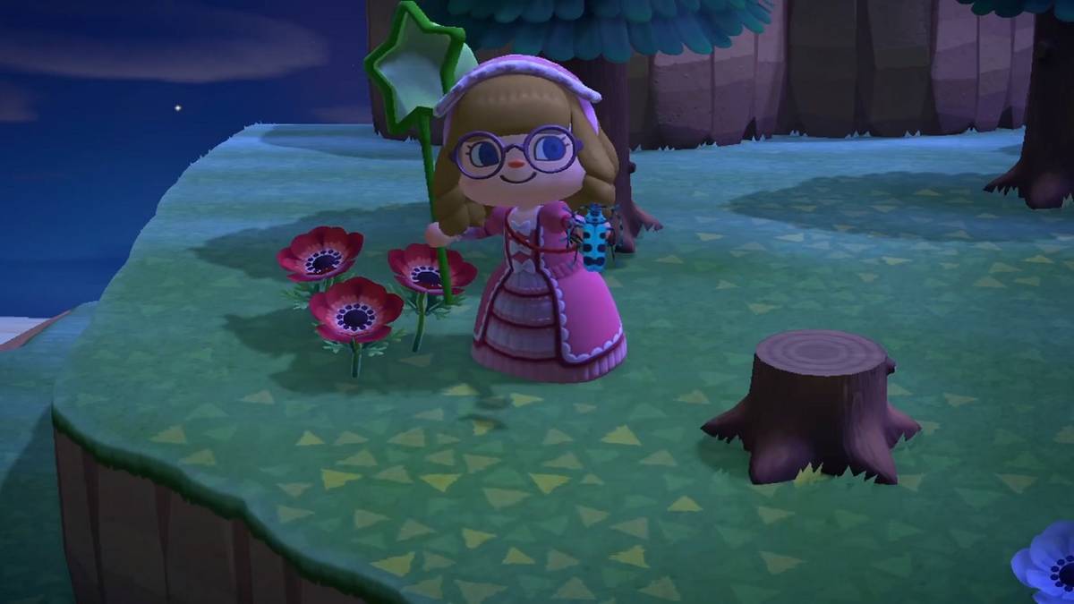 animal crossing successful rosalia batesi attempt