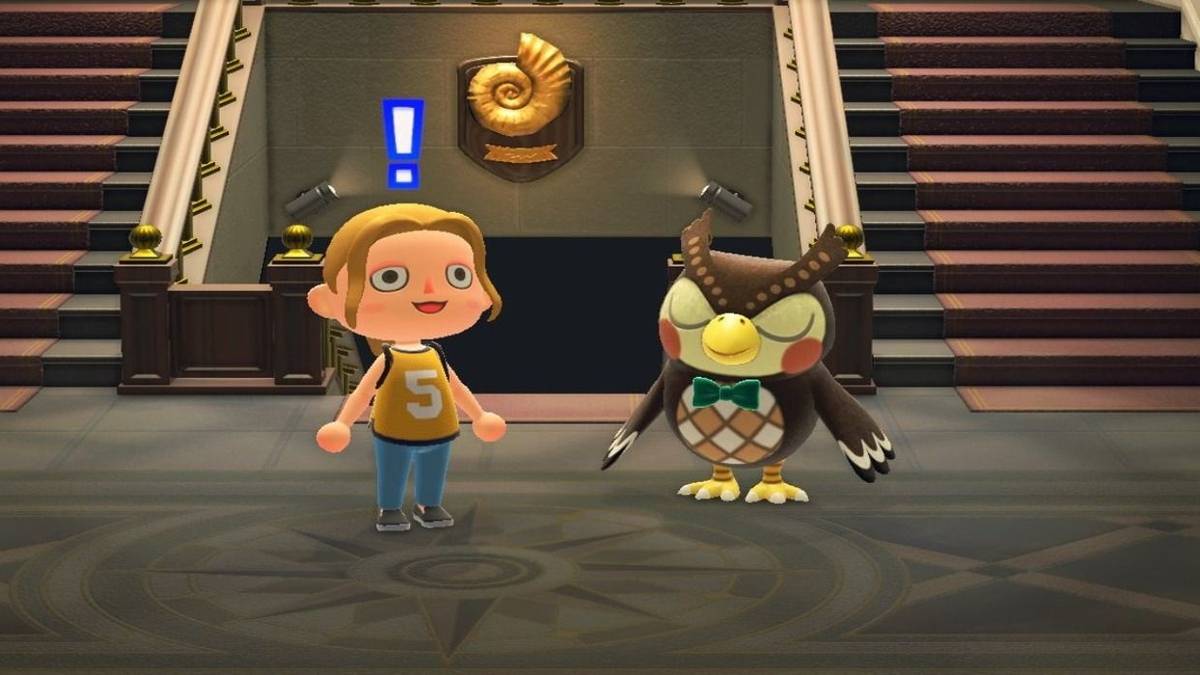 animal crossing museum header
