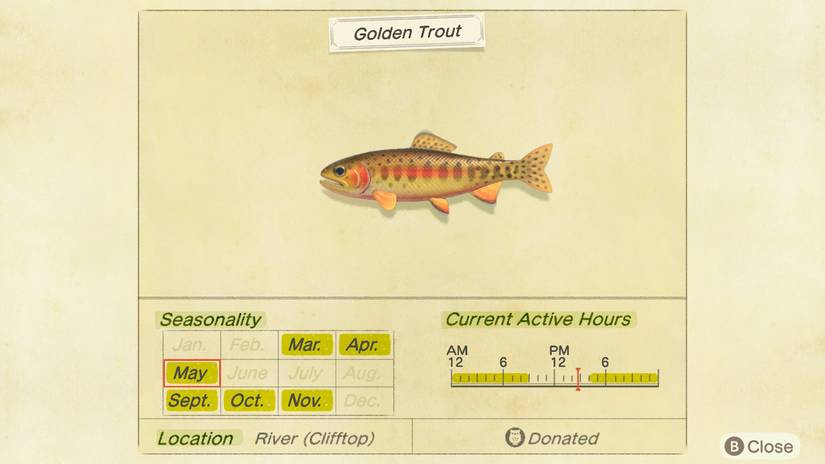 acnh golden trout facts