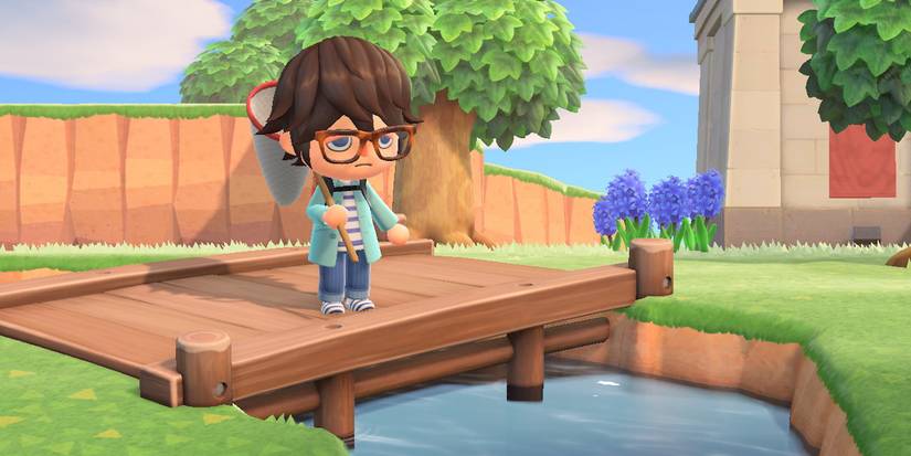 animal crossing new horizons diving beetle