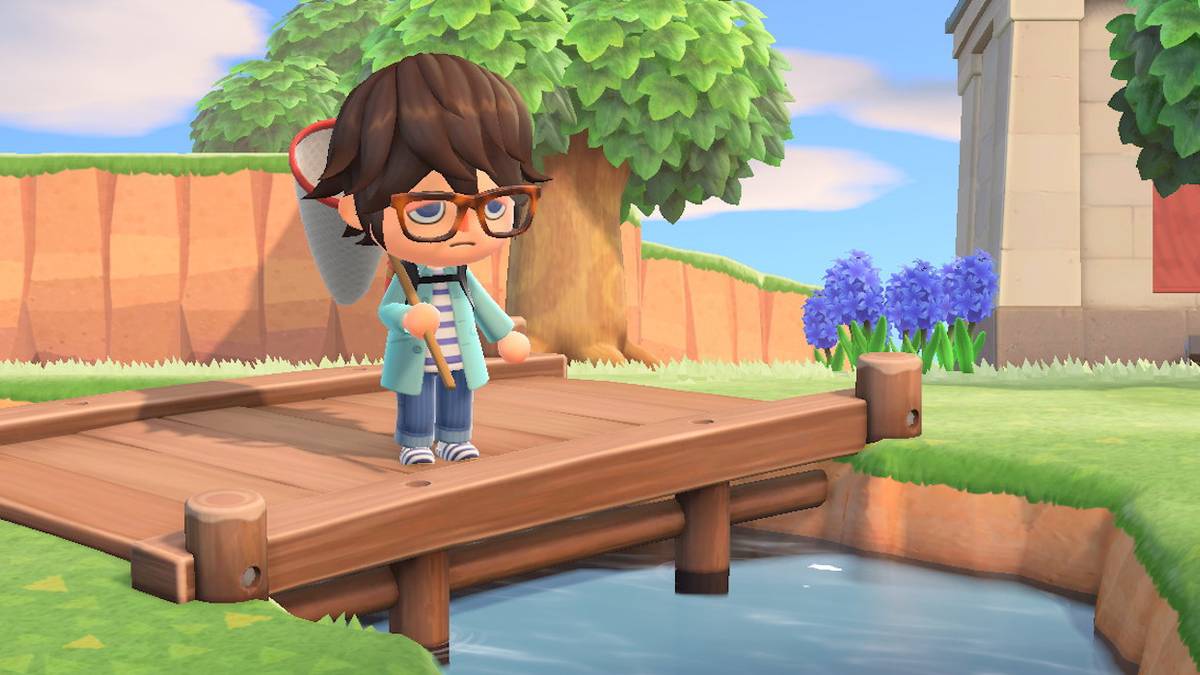 animal crossing new horizons diving beetle