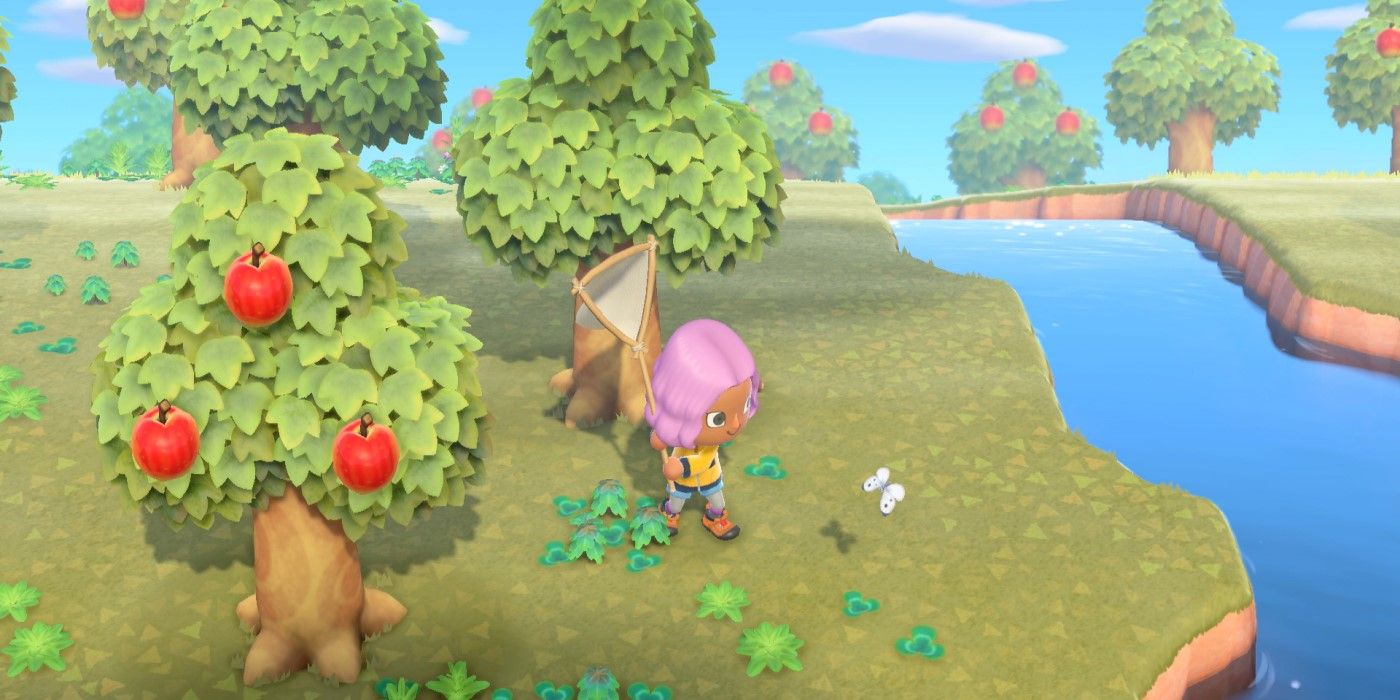 Animal Crossing New Horizons Chasing Butterfly