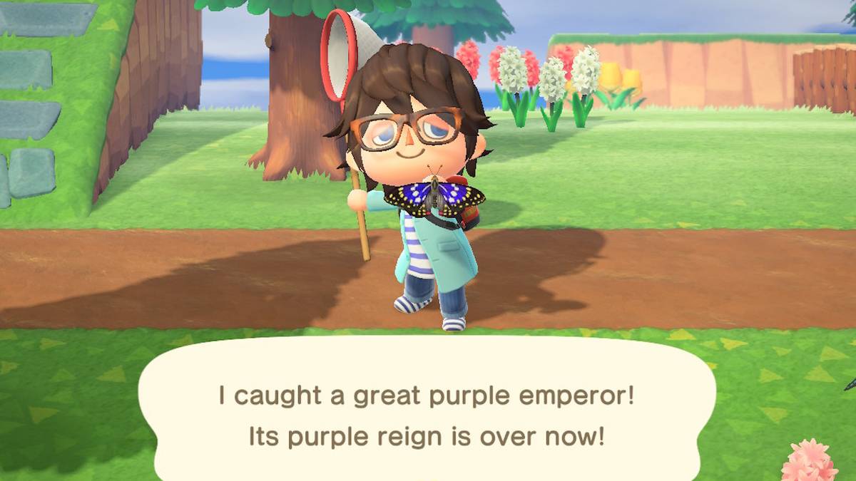 animal crossing new horizons great purple emperor
