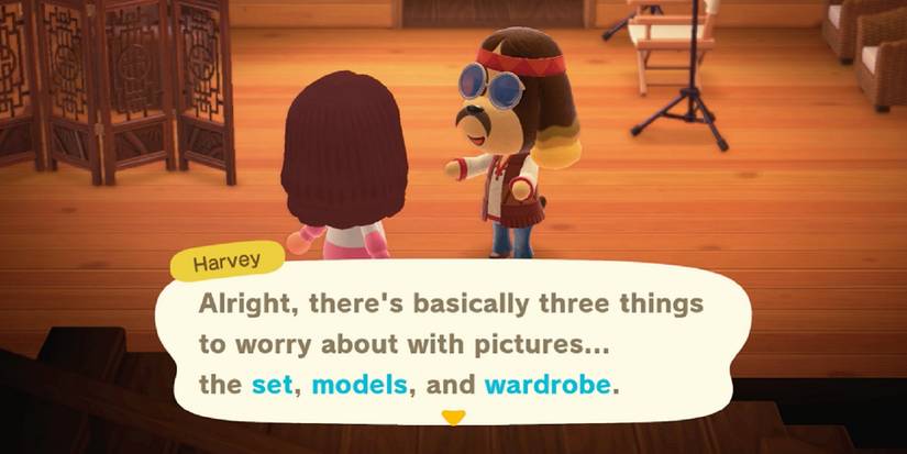 animal crossing new horizons visitors