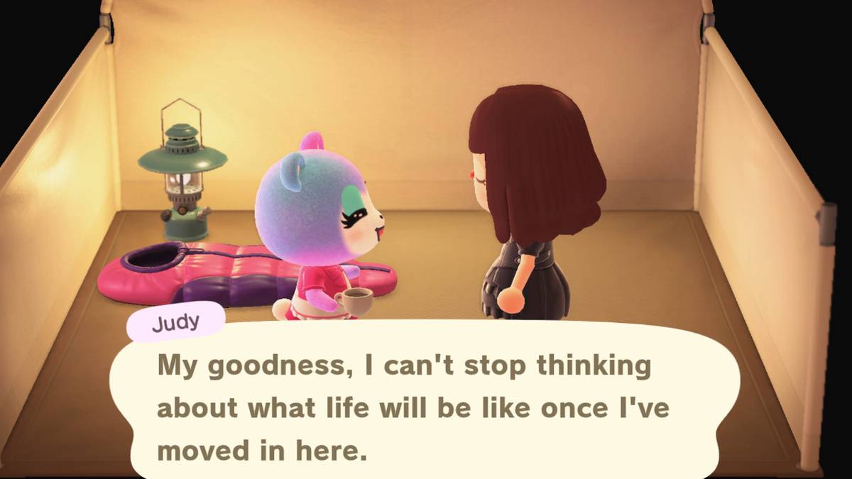 animal crossing new horizons expensive villagers